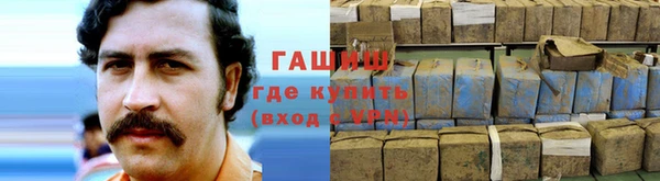 ALPHA PVP Няндома