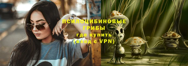 амф Нязепетровск