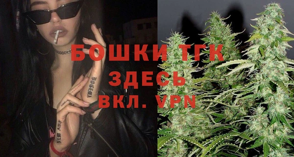 ALPHA PVP Няндома