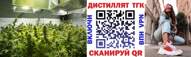 кракен маркетплейс Ачхой-Мартан ТГК гашишное масло