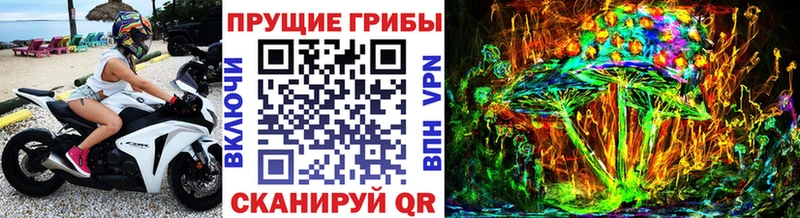 Псилоцибиновые грибы GOLDEN TEACHER  наркота  Ачхой-Мартан 